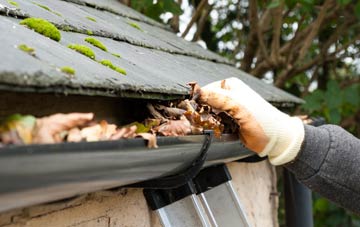 gutter cleaning Aust, Gloucestershire