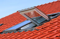 Aust roof window